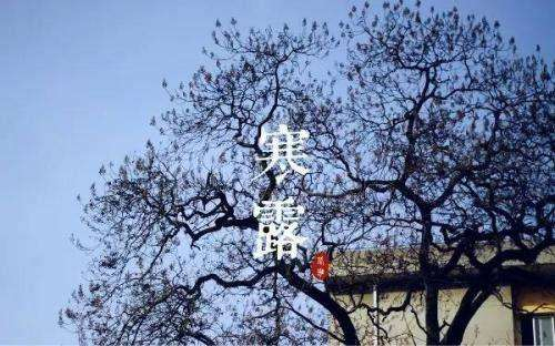 1602150486773932.png 微信圖片_20201008174912.png